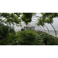 Organic Pest Control with Ingrid Foley - Saturday 29th April 2023